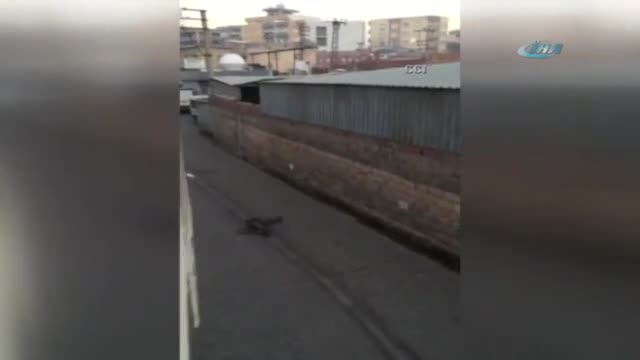 139 terörist etkisiz hale getirildi