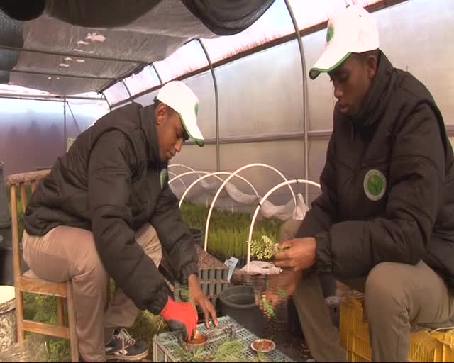 Onlar Bursa'nın Somalili öğrencileri