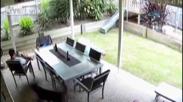 Dünyanın en zehirli yılanı ayaklarının altından geçti