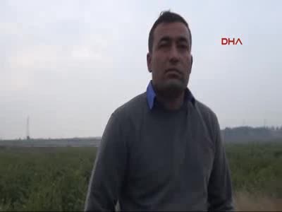 Adana'da kadınlar ilişki vaadiyle 11 bin TL parayı alıp kaçtılar