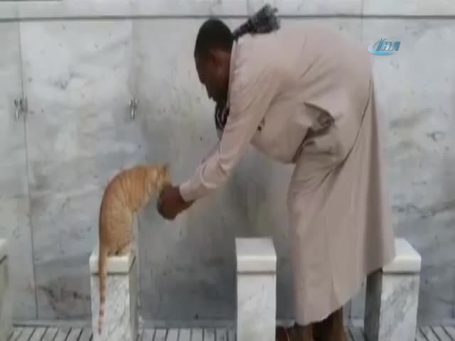 Kutsal topraklardan insanlık dersi