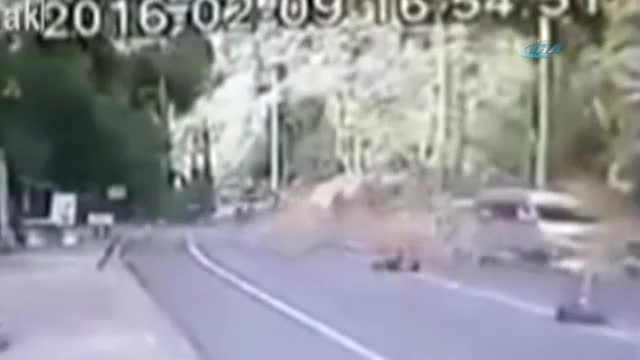 Tayland'da inanılmaz olay: Karayoluna ağaç düştü