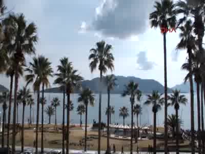 Marmaris kıyılarında balon balığı tehlikesi
