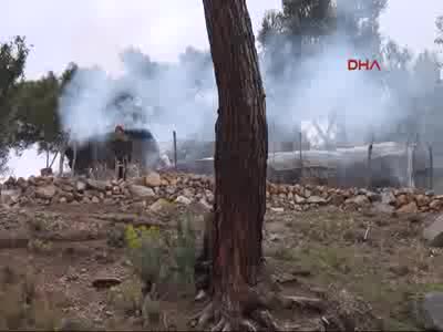 Ahırda yaşamaya başladılar