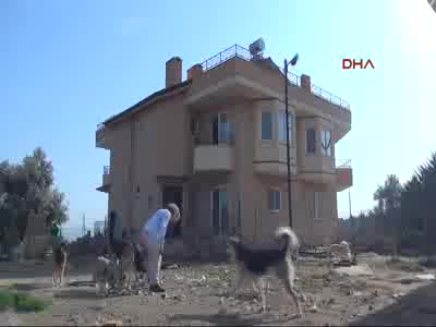 Kedi köpek besleyen Azeri piyanisti komşuları istemiyor