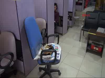 İşyerinde kedi beslemek ruhsat iptal nedeni