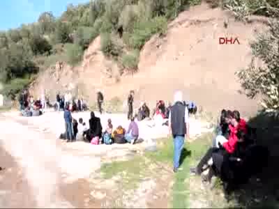 Küçükkuyu'da 186 mülteci yakalandı