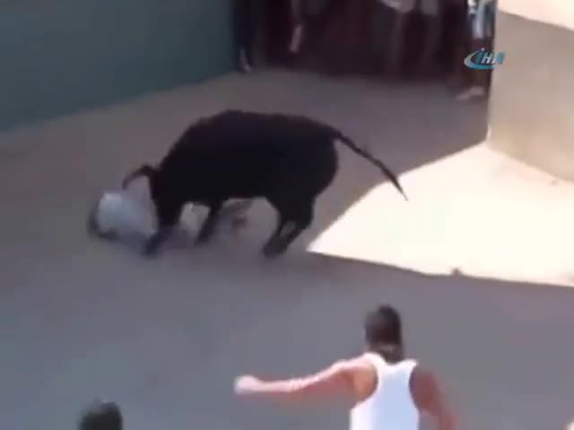 Boğaya meydan okumanın korkunç sonu