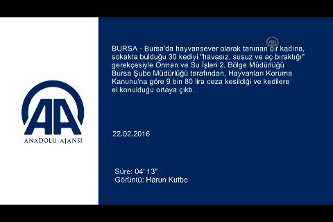Bursa'da 'hayvansever' kadına 'eziyet'ten para cezası!