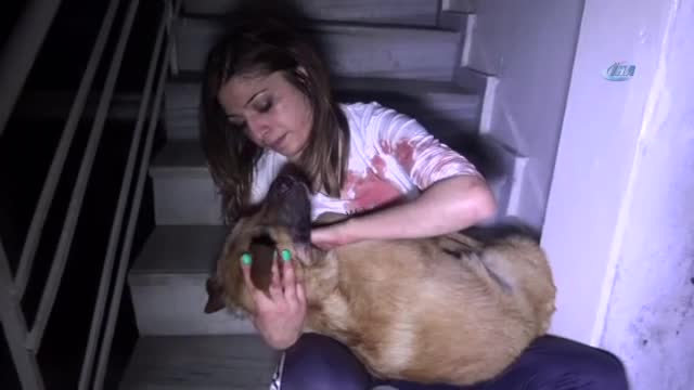 Köpeği için "ne olur ölme" diyerek gözyaşı döktü