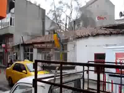 Papağan yakalama operasyonu