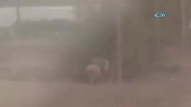 İmha etmeye çalıştığı bomba patladı