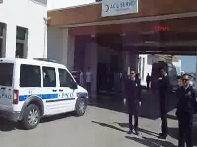 Karaman'da köpek kavgası: 1 ölü, 1 yaralı