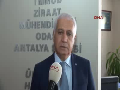 Satılmayan domates 10 kuruşa salçacıda