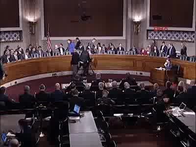 Amerikalı komutandan YPG itirafı