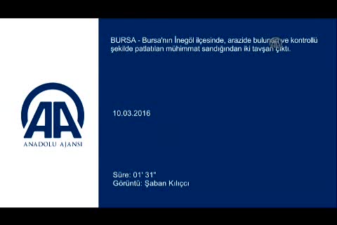 Bursa'da şüpheli sandıktan tavşan çıktı
