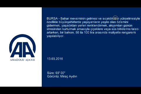 Bursa'da balkonunuzu 100 liraya çiçeklerle süsleyebilirsiniz