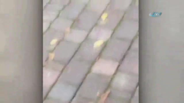 Bindiği dalı kesmiş oldu