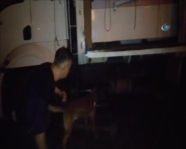 Bursa'da kamyonla taşınan iş makinesinden esrar çıktı