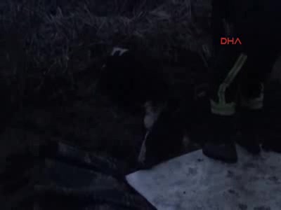 Bursa İnegöl'de sürüden ayrılan İnek bataklıkta mahsur kaldı