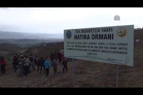 Bursa Mudanya'da yanan orman alanına 3 bin fidan