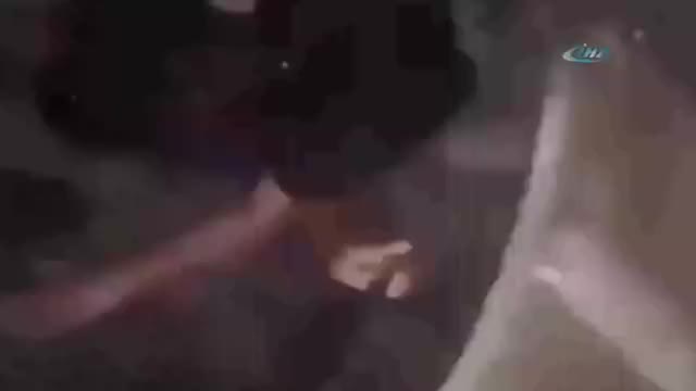 Selfienin sonu kötü bitti
