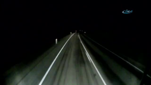 Kanguruyu ezdi, yoluna devam etti
