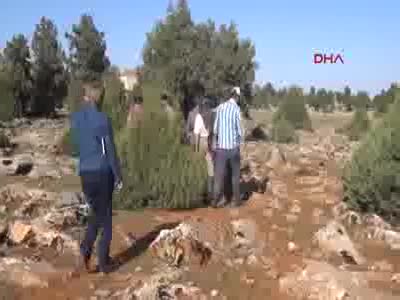 6 yaşındaki Yasin'den haber alınamıyor