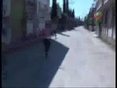 Adana'da torbacılardan çelik yelek ve Thomson otomatik silah çıktı
