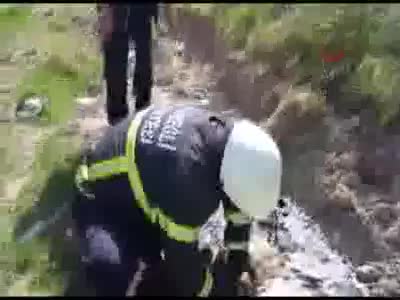 Zifte yapışan yavru köpeği itfaiye ekipleri kurtardı