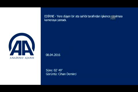 Ata eziyet vatandaşın cep telefonu kamerasına yansıdı