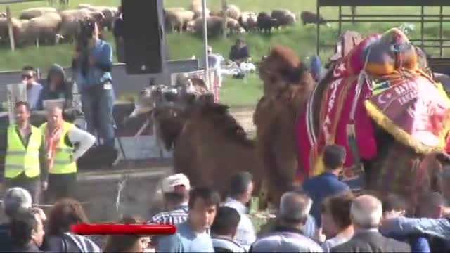 İzmirli Ali Unal'ın çekici formülü