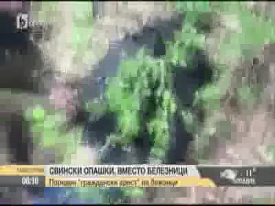 Bulgaristan'da sınırdaki "göçmen avı" böyle görüntülendi