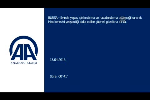 Bursa'da uyuşturucu yetiştirmek için düzenek kurdu!