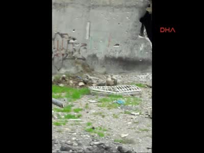 Nusaybin'de el yapımı patlayıcılar tespit edilerek imha edildi