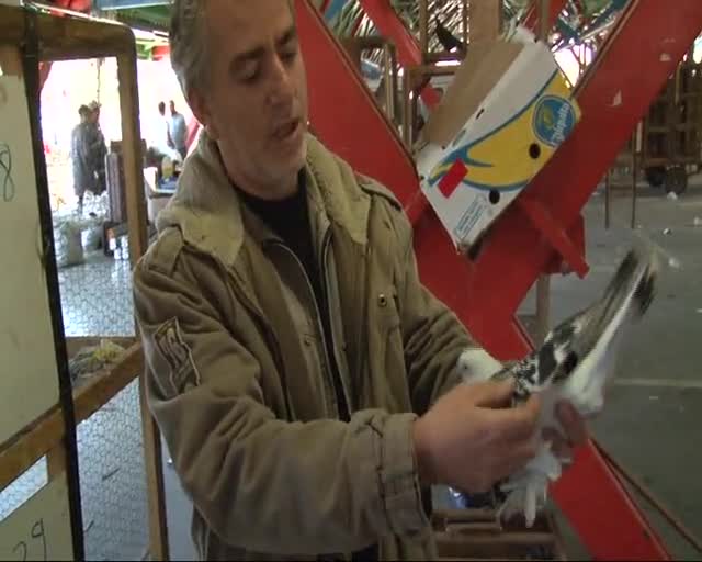 Bursa'da bu güvercinler dudak uçuklatıyor!