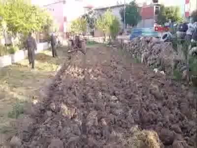 50 yıllık eşinin kazayla ezdiği kadın, toprağa verildi