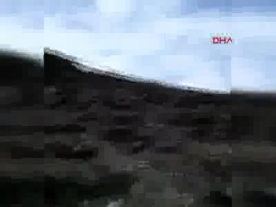 Ayı yavrularını çobanlar kurtardı