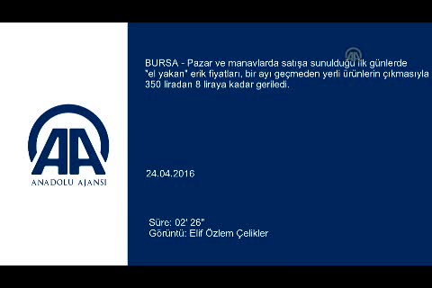 Bursa'da eriğin kilosu 350 liradan 8 liraya düştü