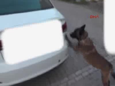 Otomobilden 12 kilo 575 gram esrar çıktı