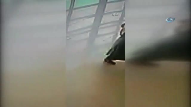 Bursa canisinin yeni görüntüleri ortaya çıktı!