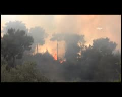 Aydın'daki yangın 5 saattir kontrol altına alınamadı