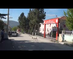 Şehit Uyanık'ın cenazesi memleketine getirildi