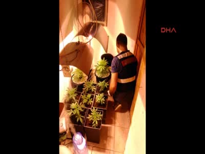 Villada hintkeneviri ile esrar ele geçirildi