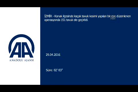 "Kaçak tavuk kesimi" operasyonu