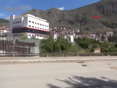 Amasya'nın 'Yeşil Nöbeti'nde aleyhte karar çıktı; 90 ağaç kesildi