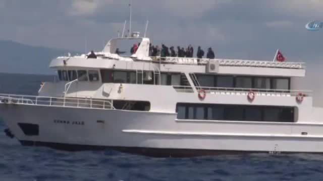 Deniz Aslanı-2016 nefes kesti