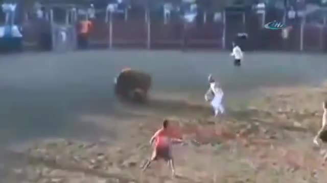 Boğanın elinden dakikalarca kimse alamadı