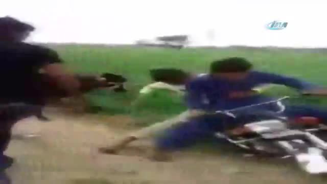 Buzağı, motosikletliye karşı