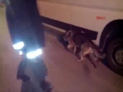 26 yıllık infaz koruma memuru uyuşturucudan tutuklandı